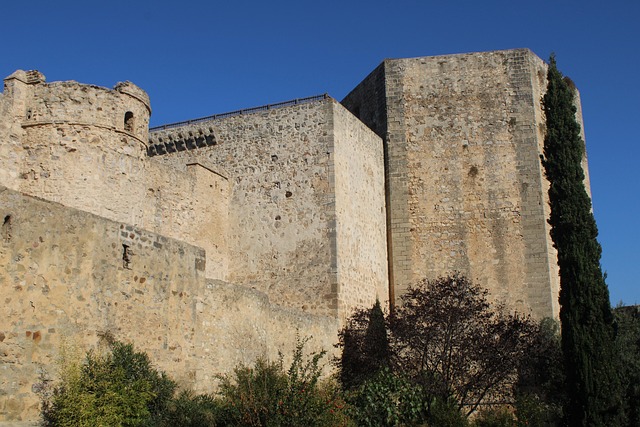 Viaje a Sanlúcar de Barrameda en furgoneta camper