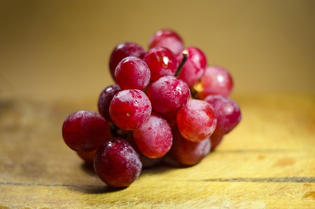 Viaje a las mejores fiestas del vino de España en camper