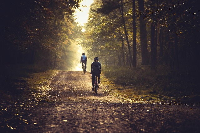 Alquilar una camper para ir en bicicleta