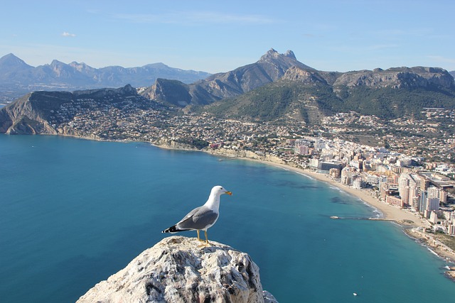 Viaje a Calpe en furgoneta camper