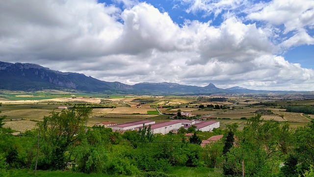Viaje a la Rioja Alavesa en furgoneta camper