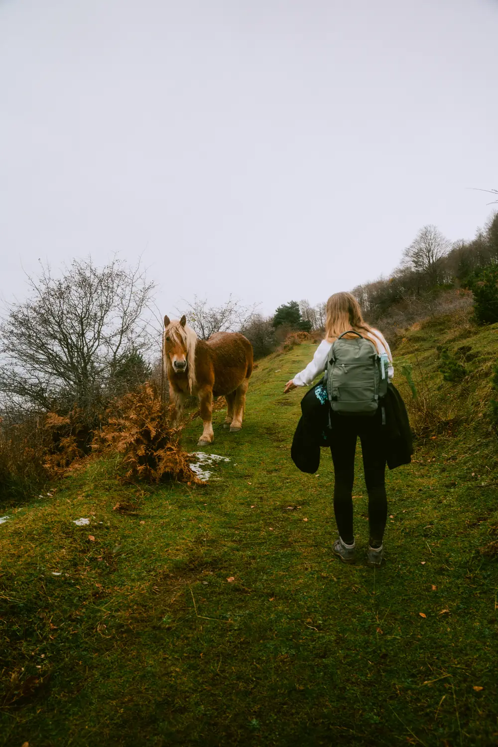Hiking with horse