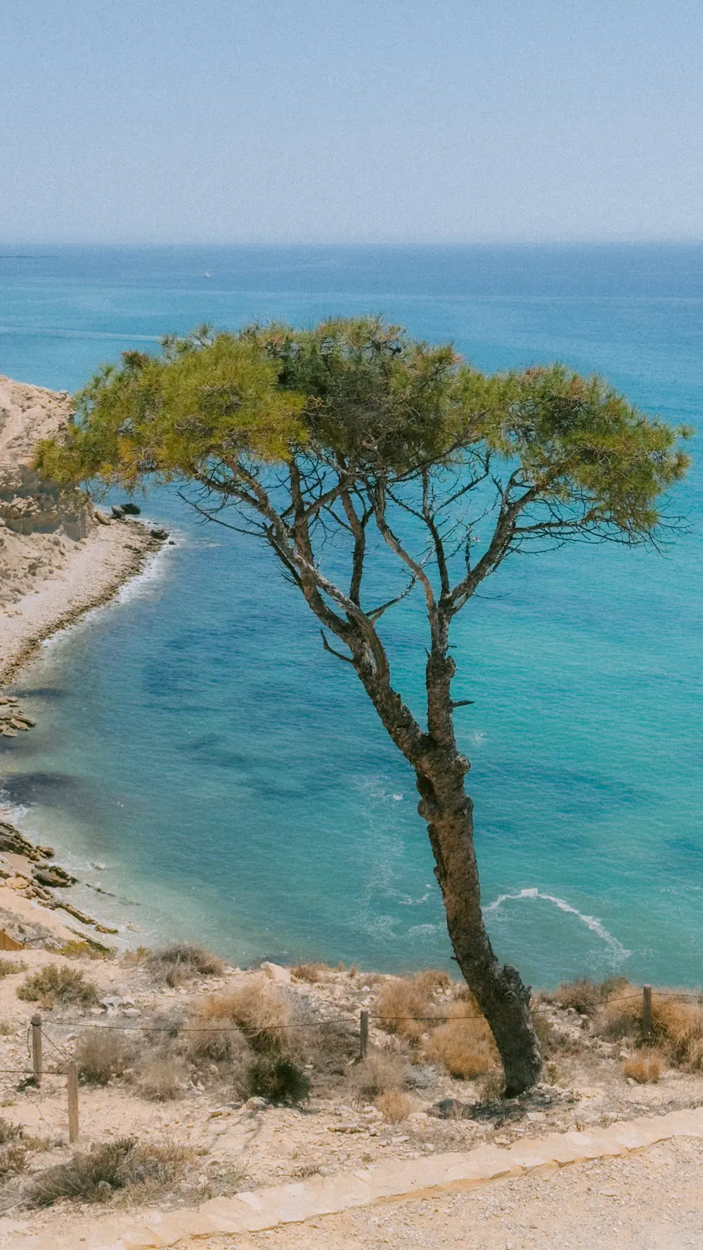 Mediterranean coast