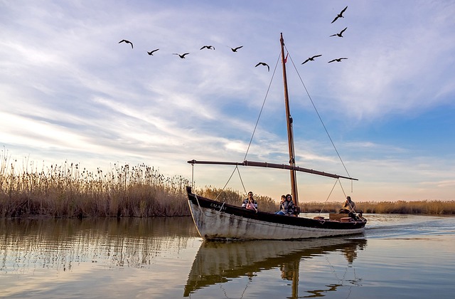 Viaje a la Albufera de Valencia en autocaravana y camper