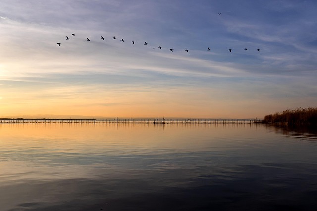 Viaje a la Albufera de Valencia en autocaravana y camper