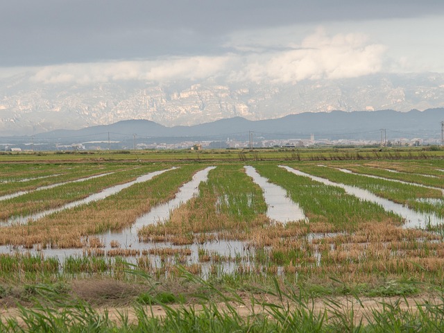 Viaje al Delta del Ebro en autocaravana y camper